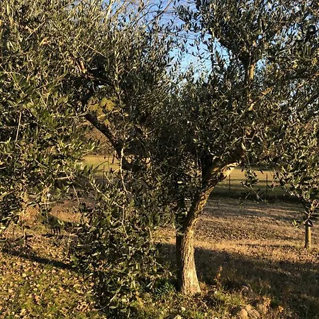Appartamento Corte Palu * Cavalcaselle